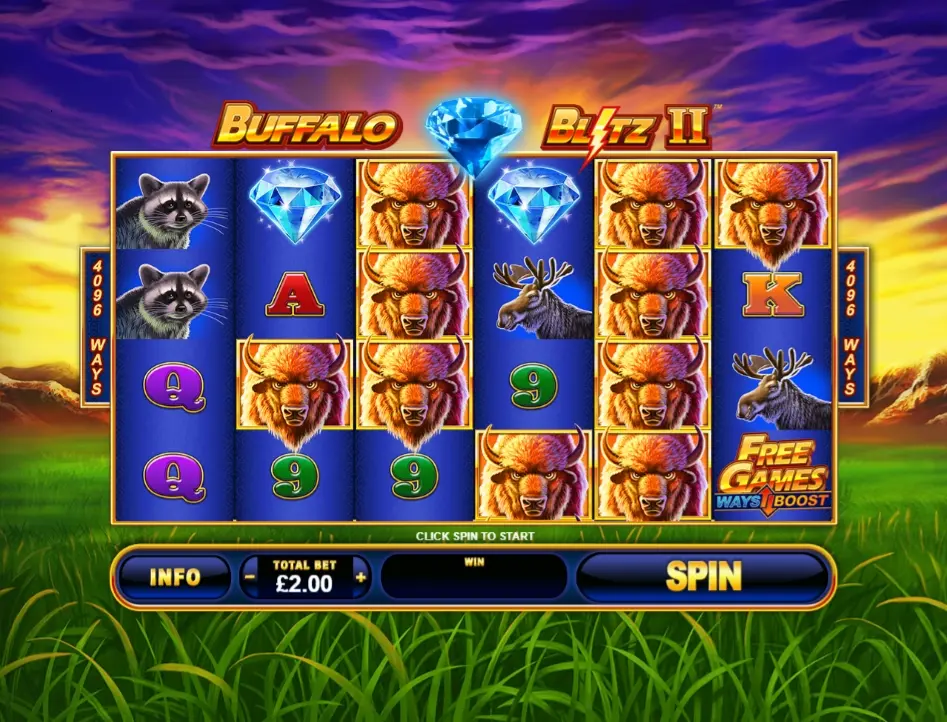 buffalo blitz two